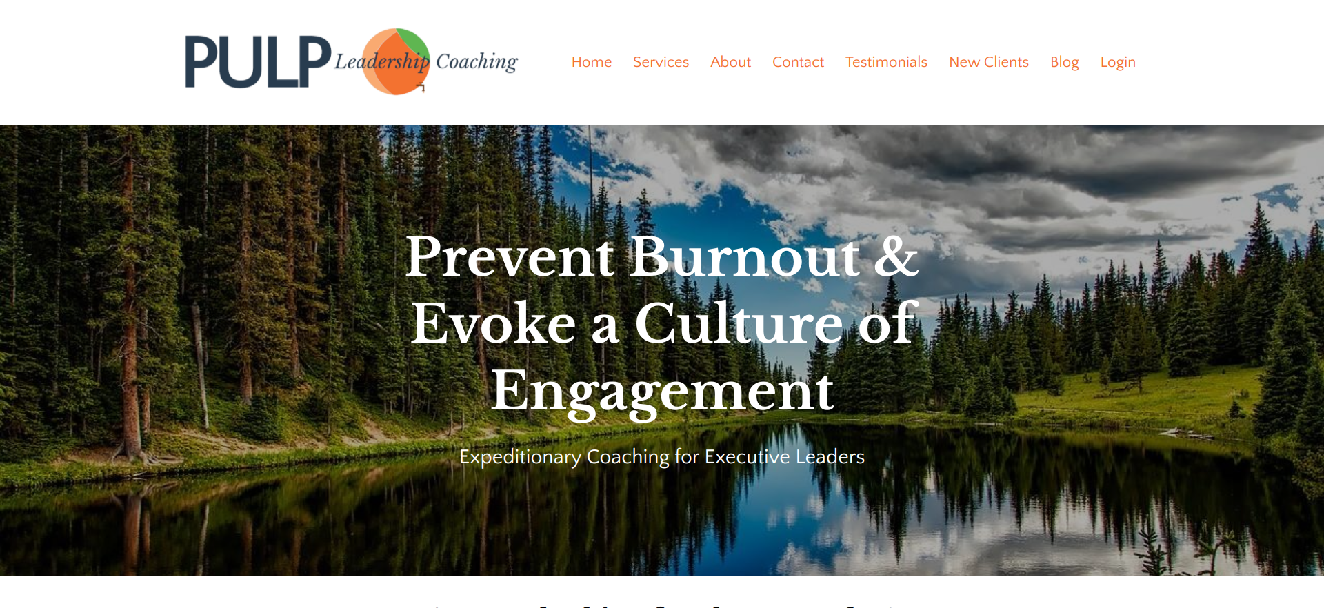 Pulp Leadership Coaching